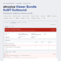 eInvoice Viewer Bundle KoSIT Outbound – screenshot of the one-file app